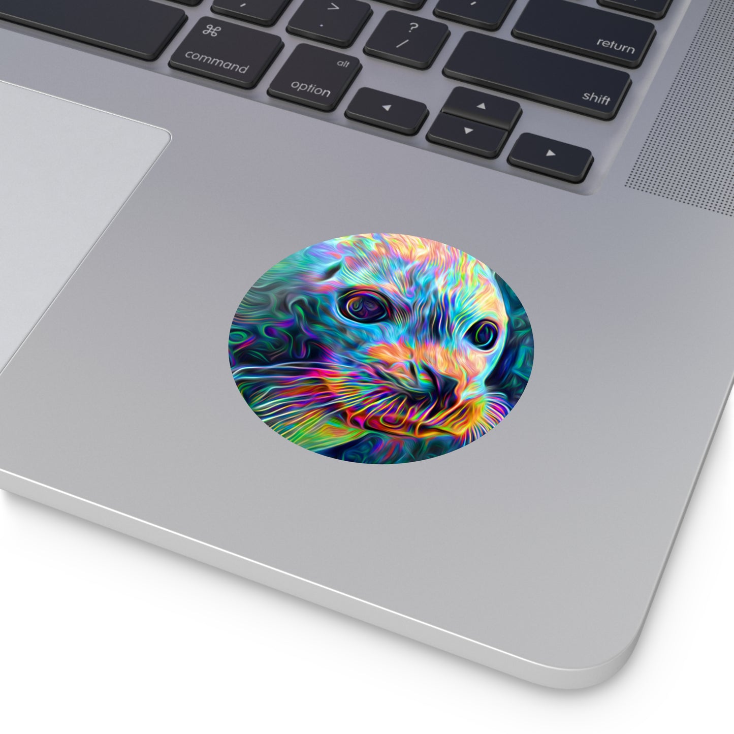 Galaxy Frog Seal Round Vinyl Stickers
