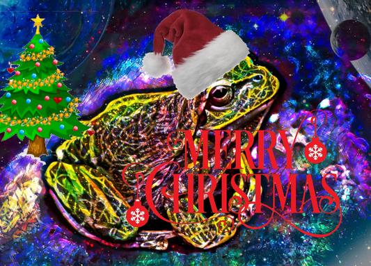 Galaxy Frog Merry Christmas