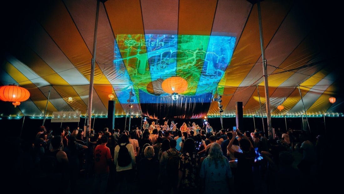 Galaxy Frog Live Art for Xylem at Shakori Hills Music Festival