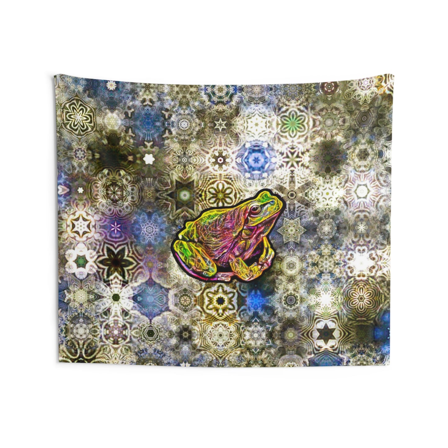 Galaxy Frog Indoor Wall Tapestries