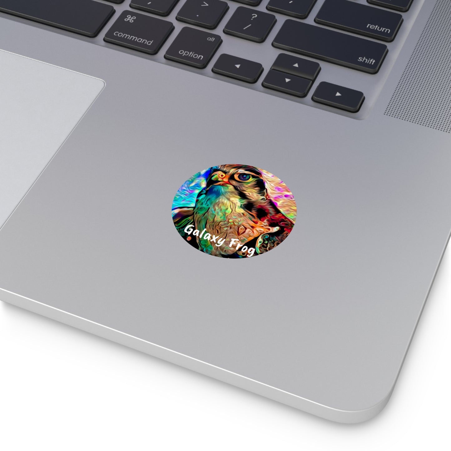 Galaxy Frog Hawk Round Vinyl Stickers