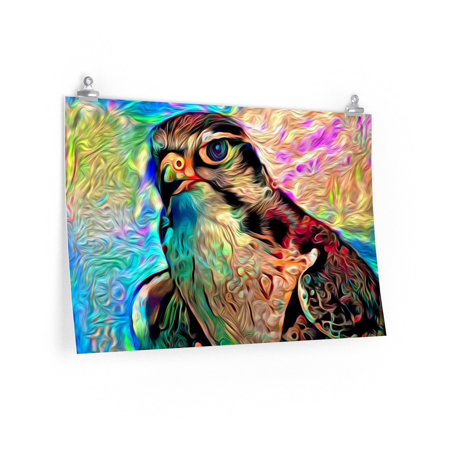 Rainbow Hawk Premium Matte horizontal posters