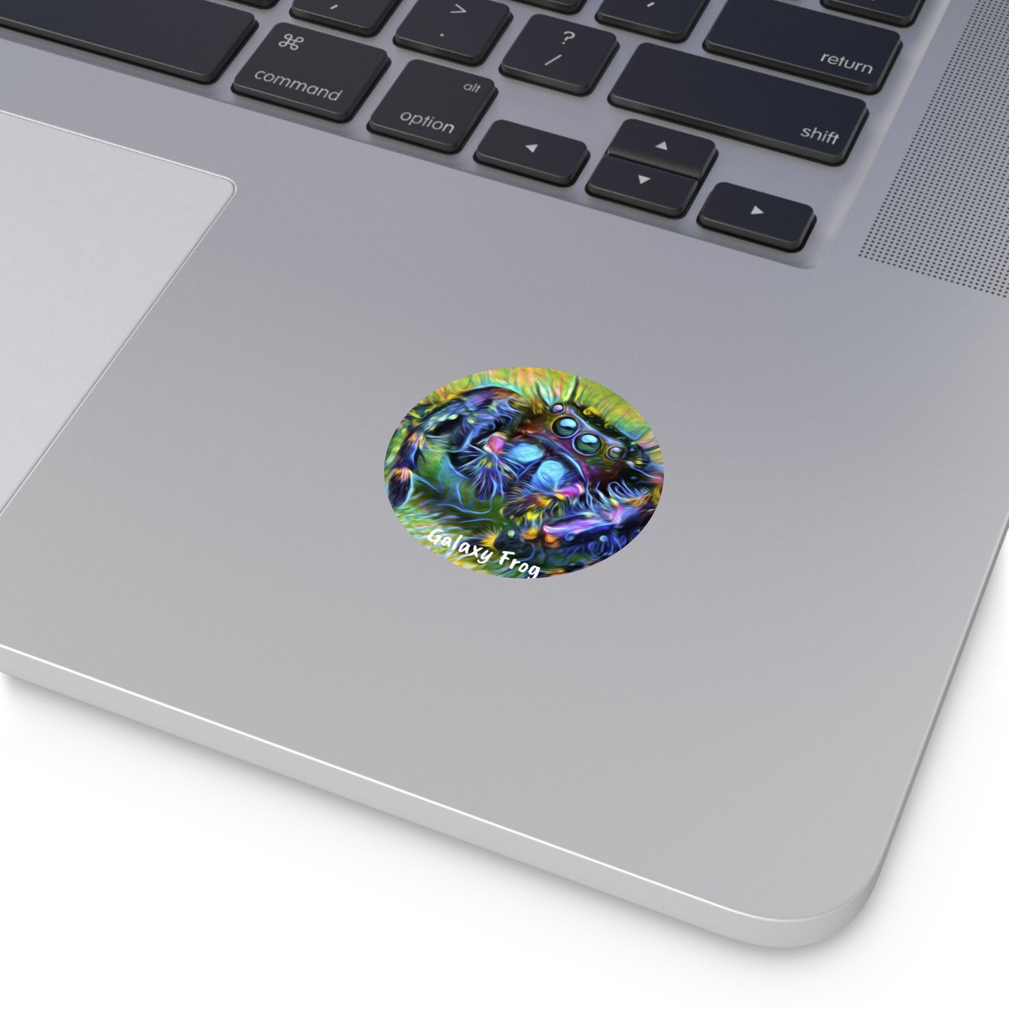 Galaxy Frog Spider Round Vinyl Stickers