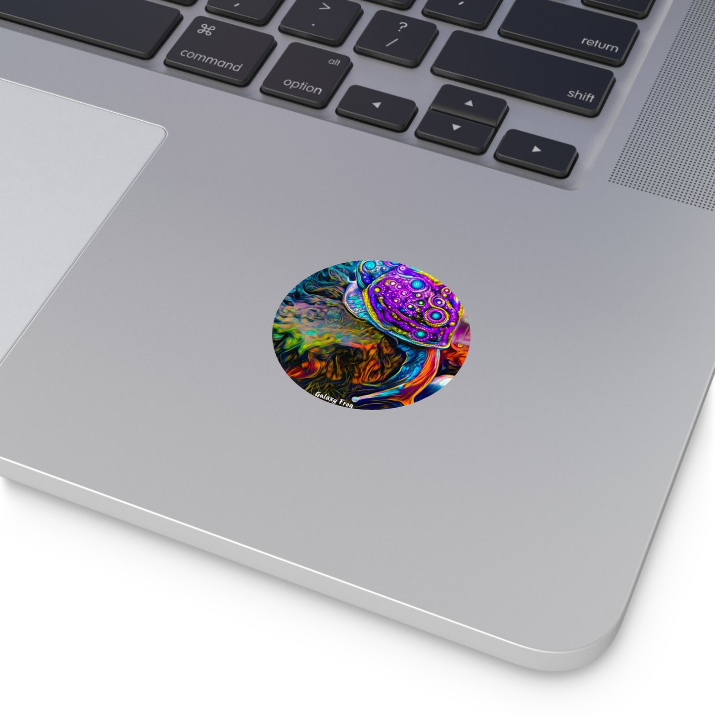 Galaxy Frog Snail Round Vinyl Stickers