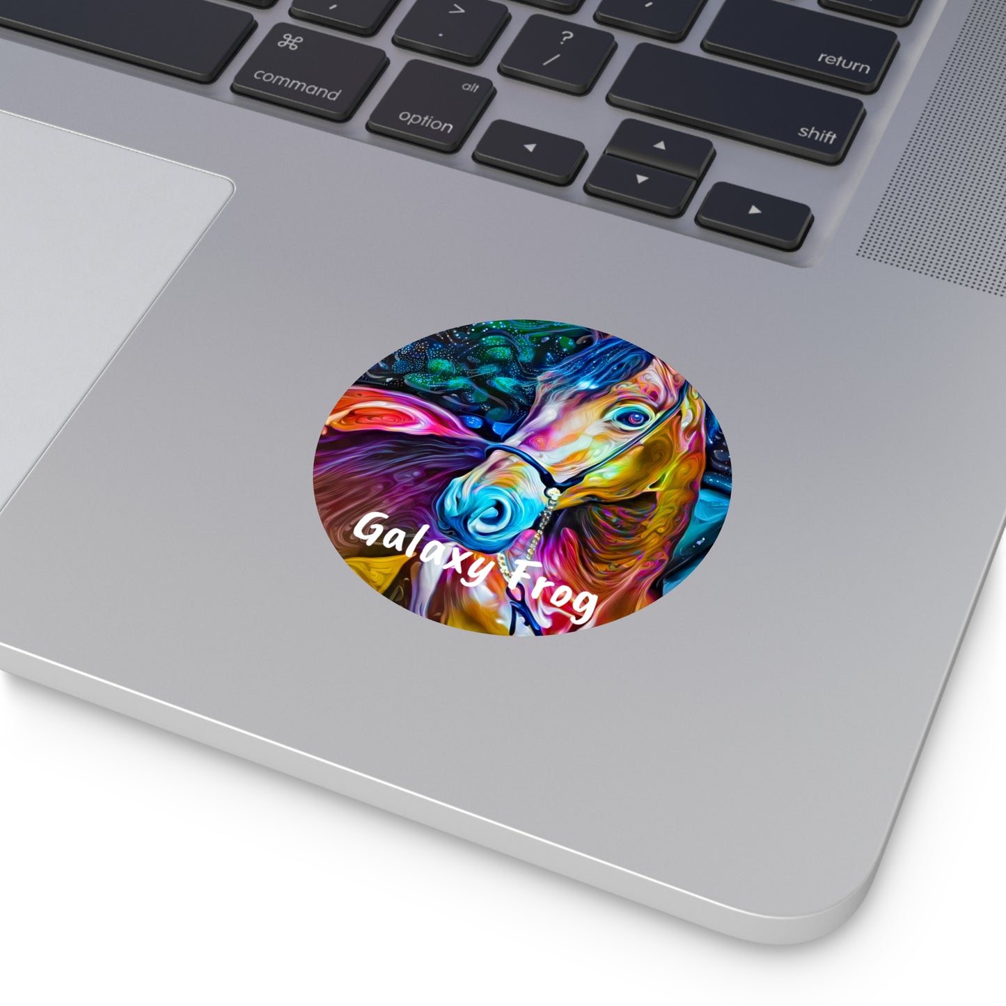 Galaxy Frog Horse 2 Round Vinyl Stickers