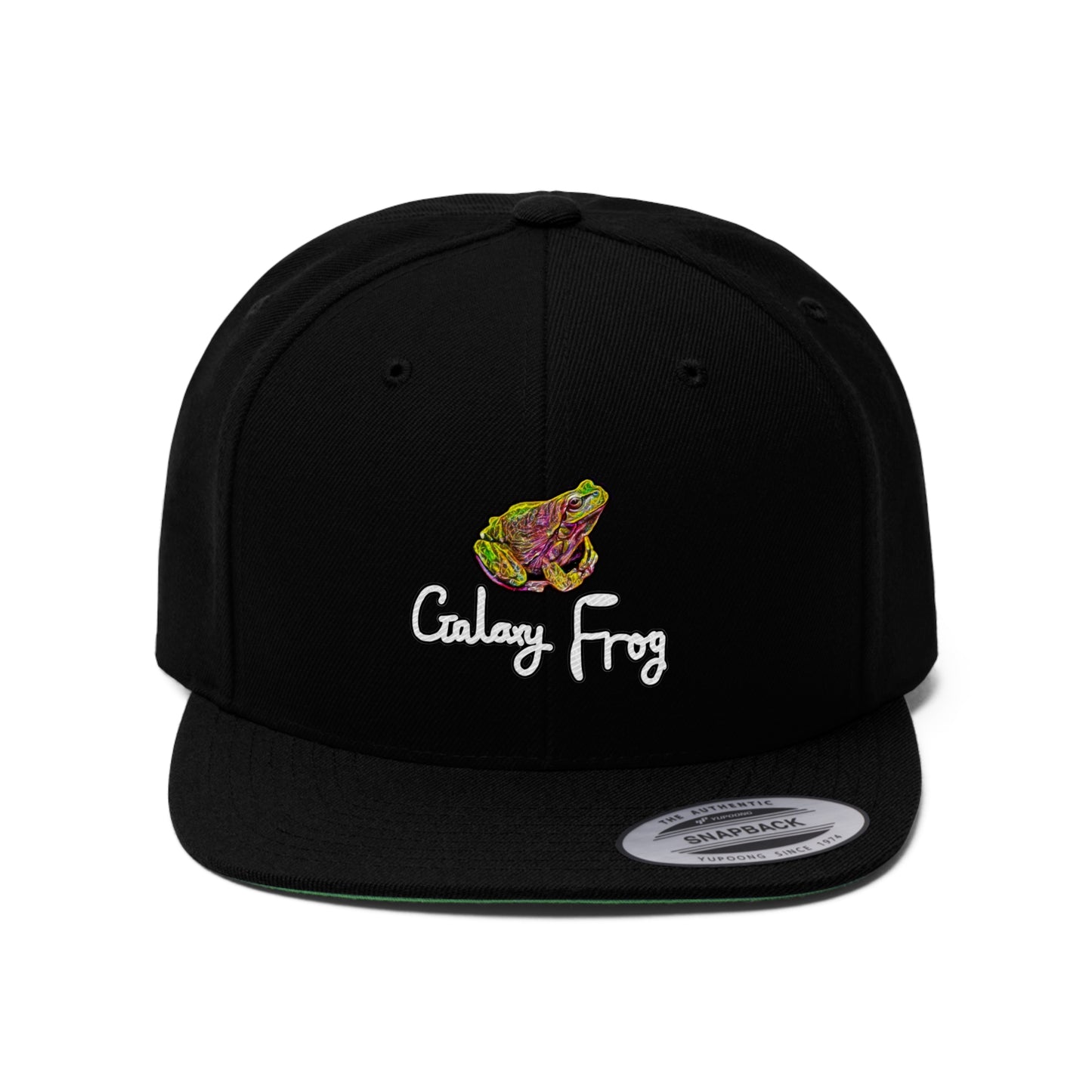 Galaxy Frog Flat Bill Hat 0001