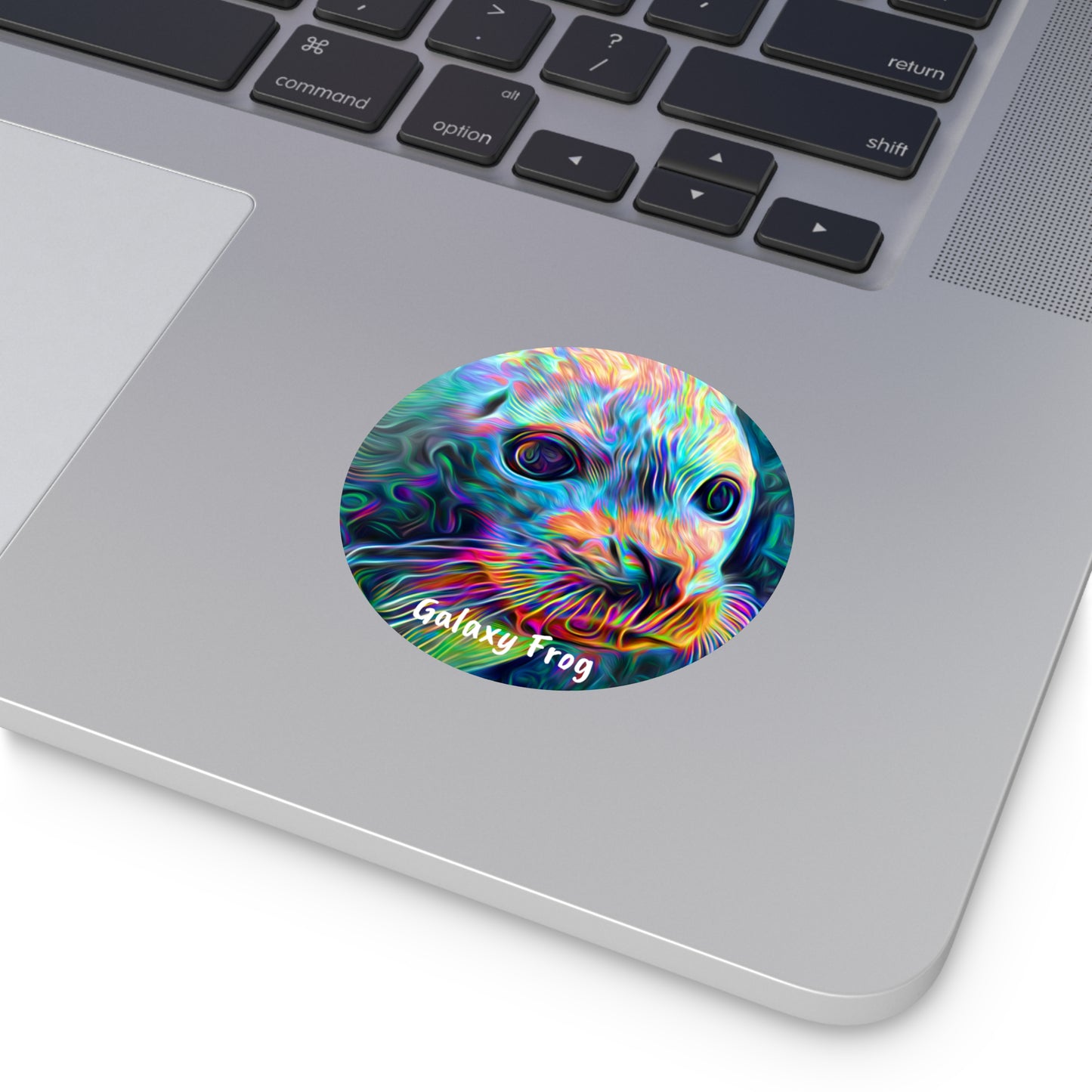 Galaxy Frog Seal Round Vinyl Stickers