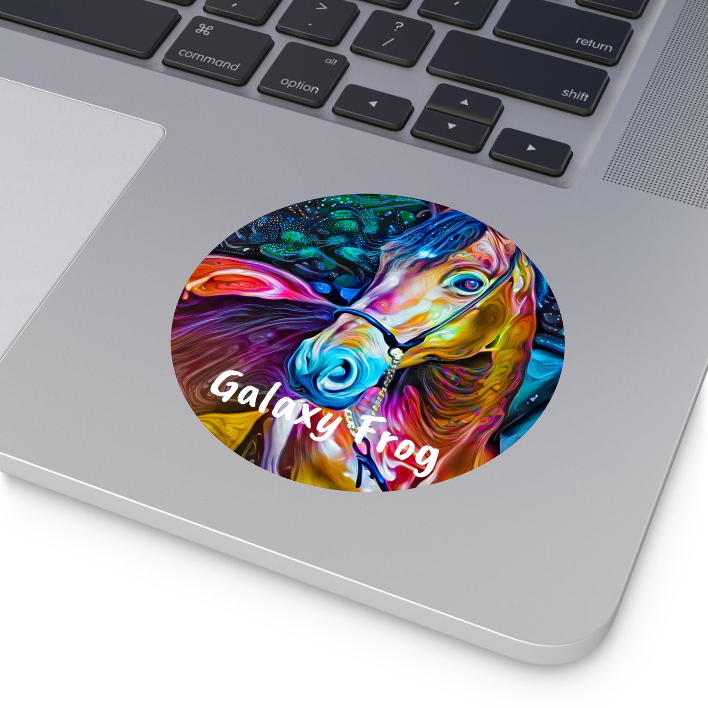 Galaxy Frog Horse 2 Round Vinyl Stickers