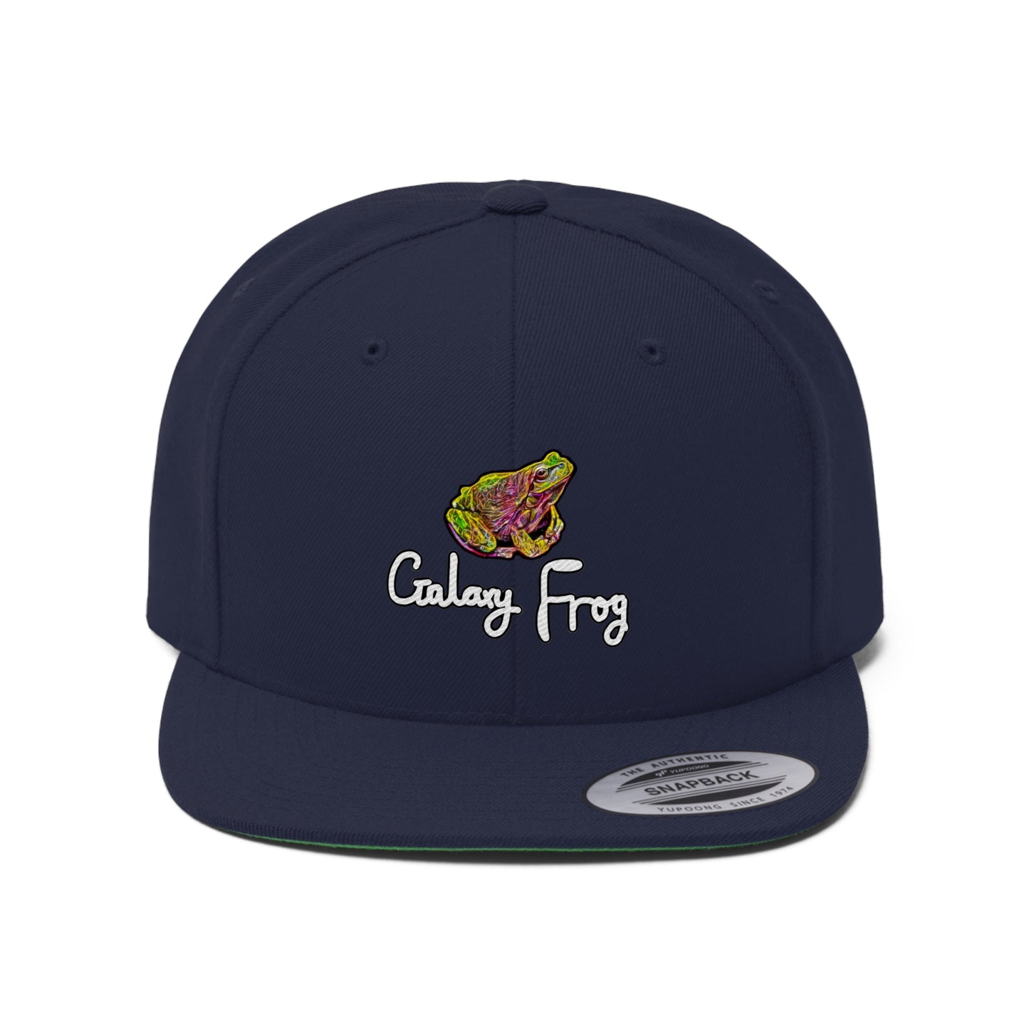 Copy of Galaxy Frog Flat Bill Hat