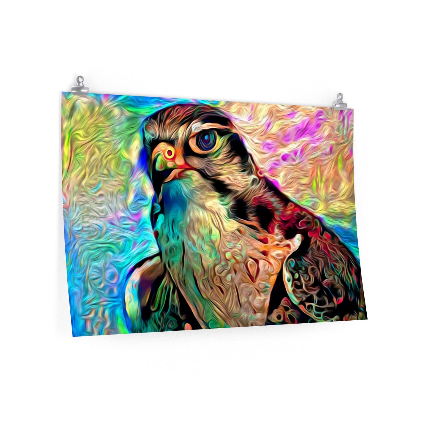 Rainbow Hawk Premium Matte horizontal posters