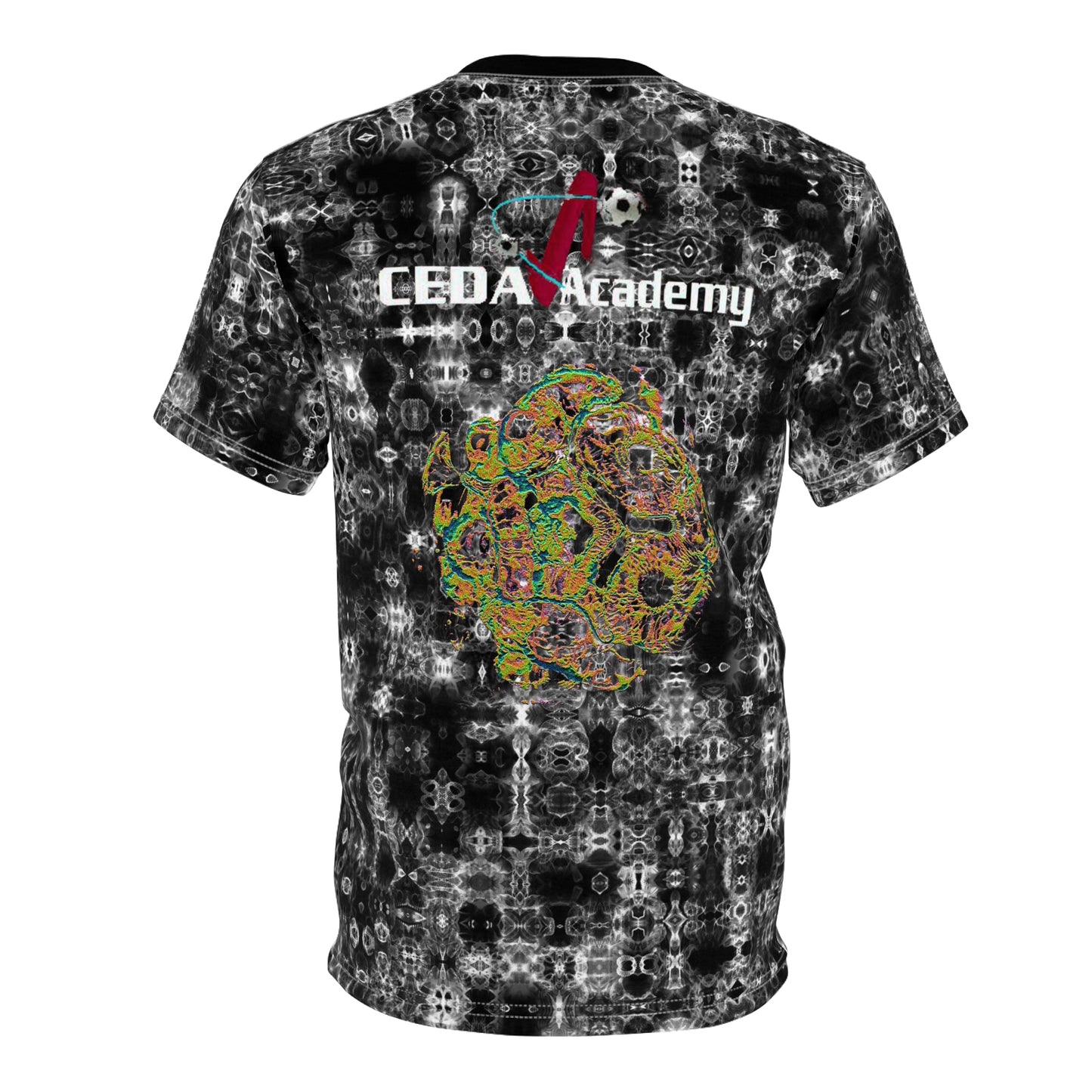 Galaxy Frog CEDA Academy Fractal Cymatics Tee