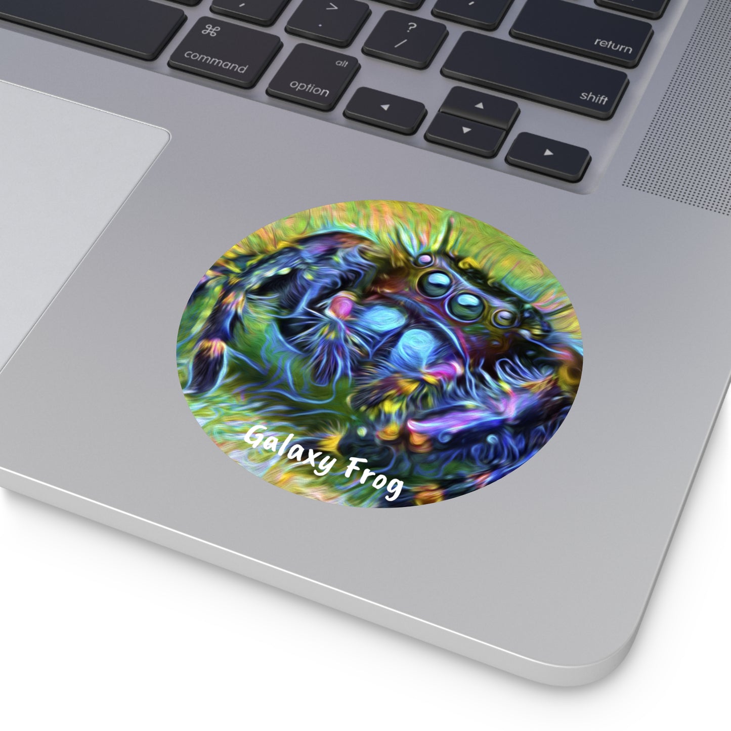 Galaxy Frog Spider Round Vinyl Stickers