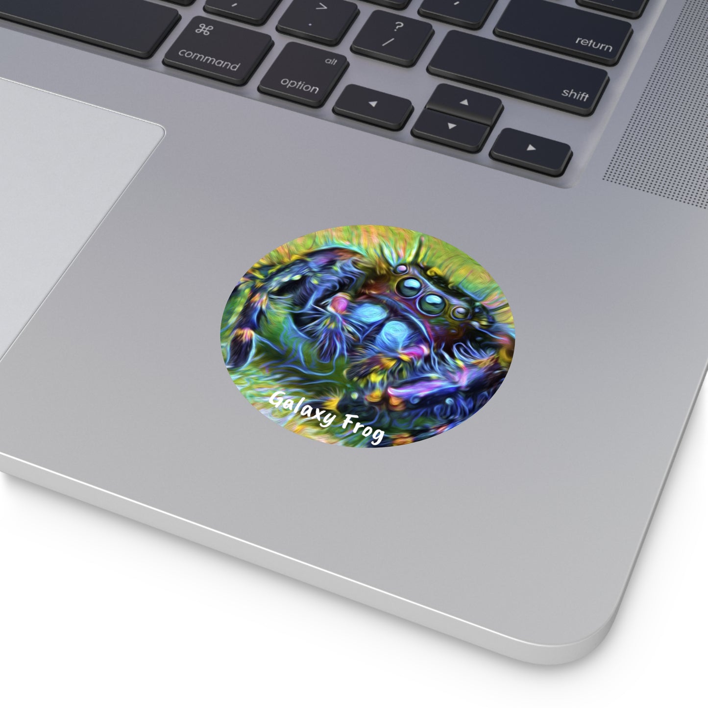 Galaxy Frog Spider Round Vinyl Stickers