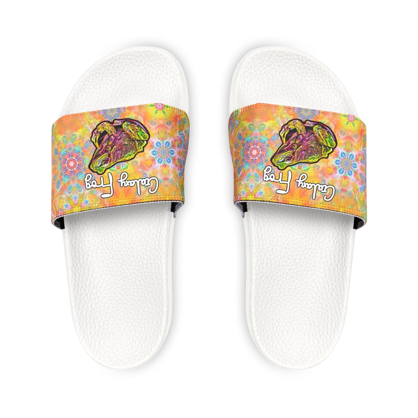 Galaxy Frog Men's Cymatics PU Slide Sandals