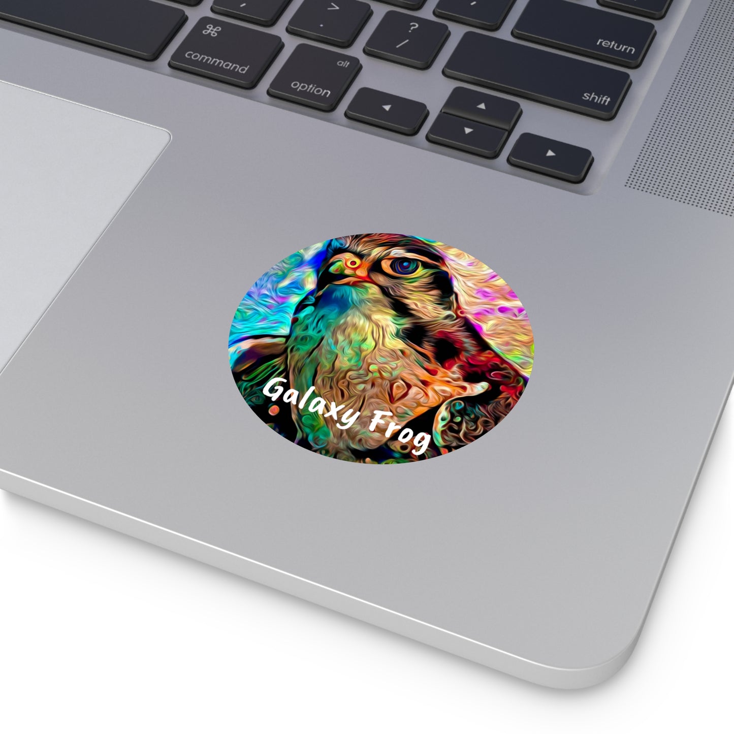 Galaxy Frog Hawk Round Vinyl Stickers