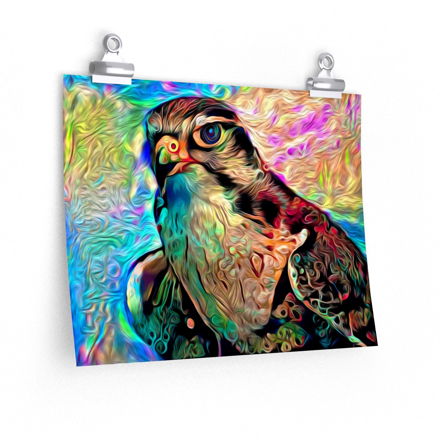 Rainbow Hawk Premium Matte horizontal posters