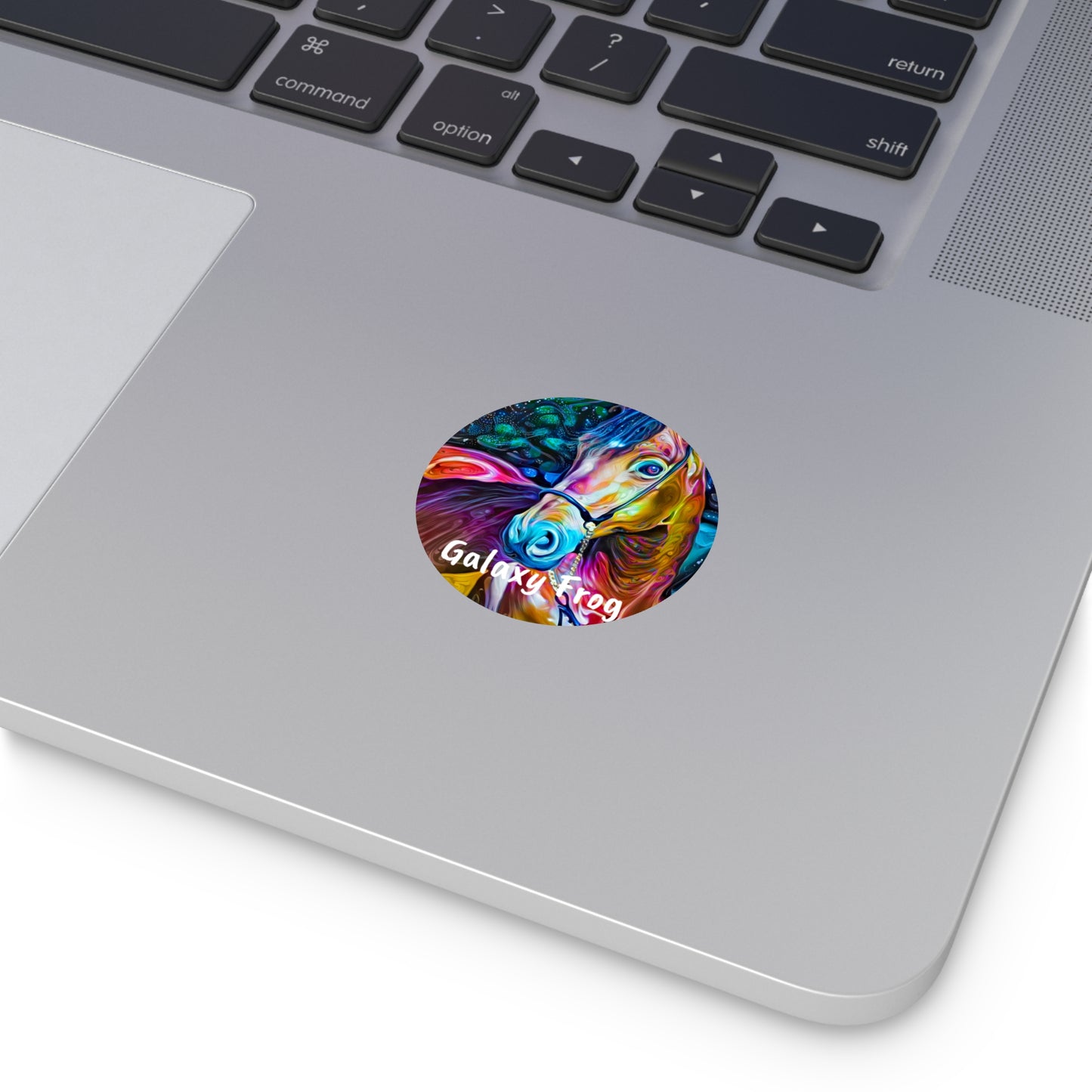 Galaxy Frog Horse 2 Round Vinyl Stickers