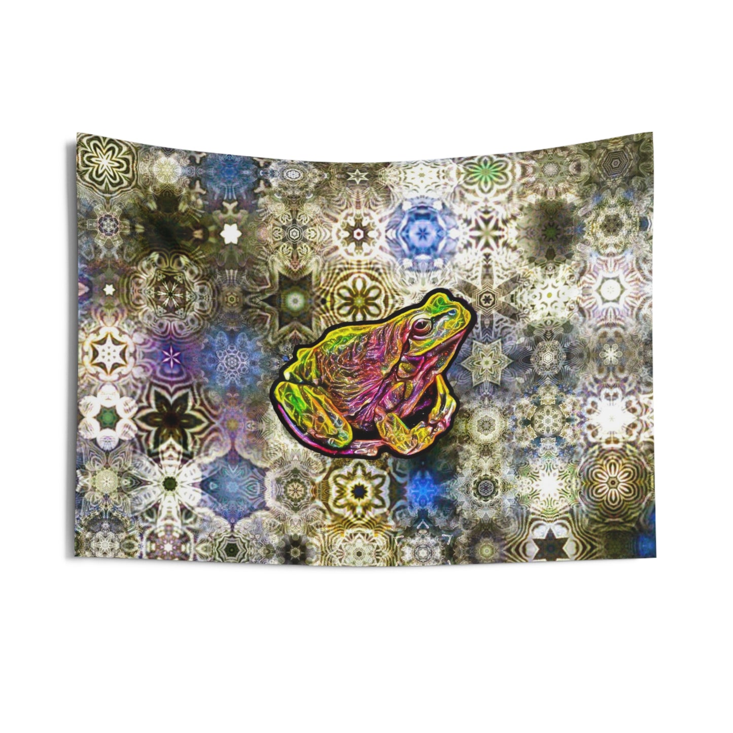 Galaxy Frog Indoor Wall Tapestries