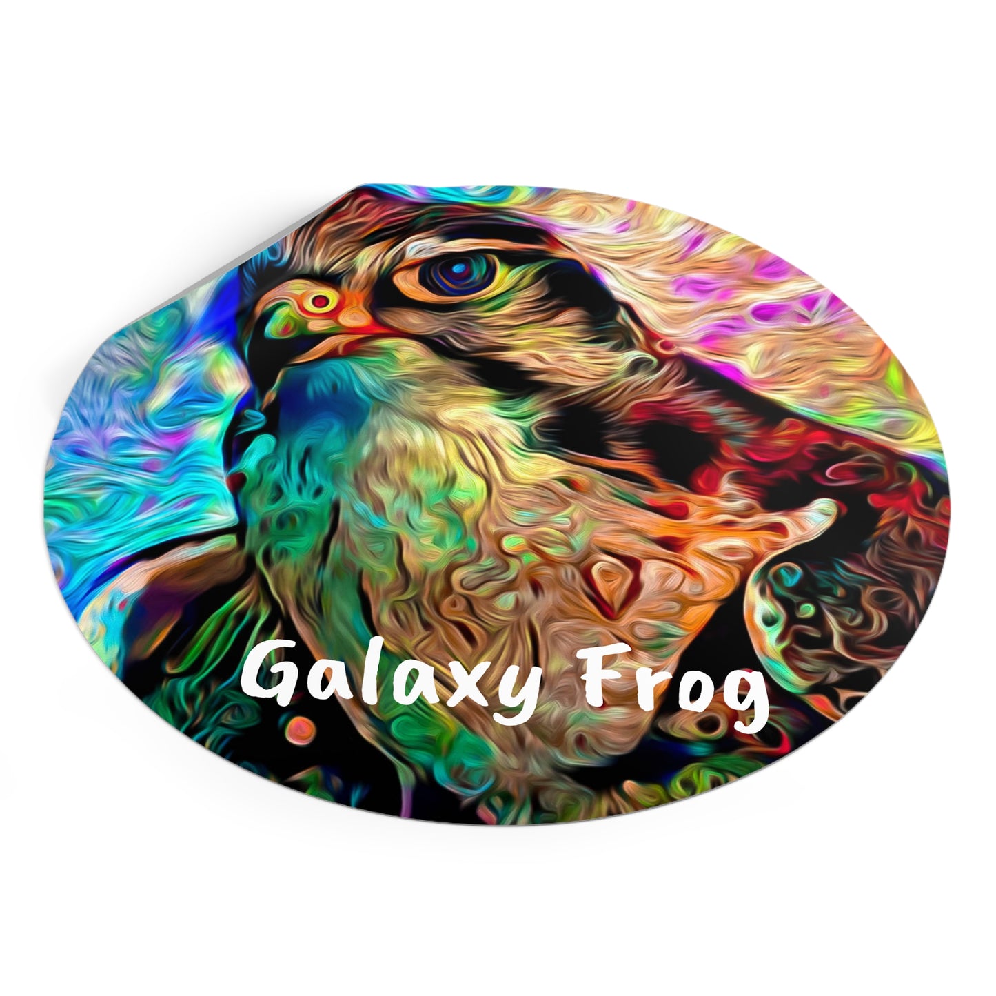 Galaxy Frog Hawk Round Vinyl Stickers