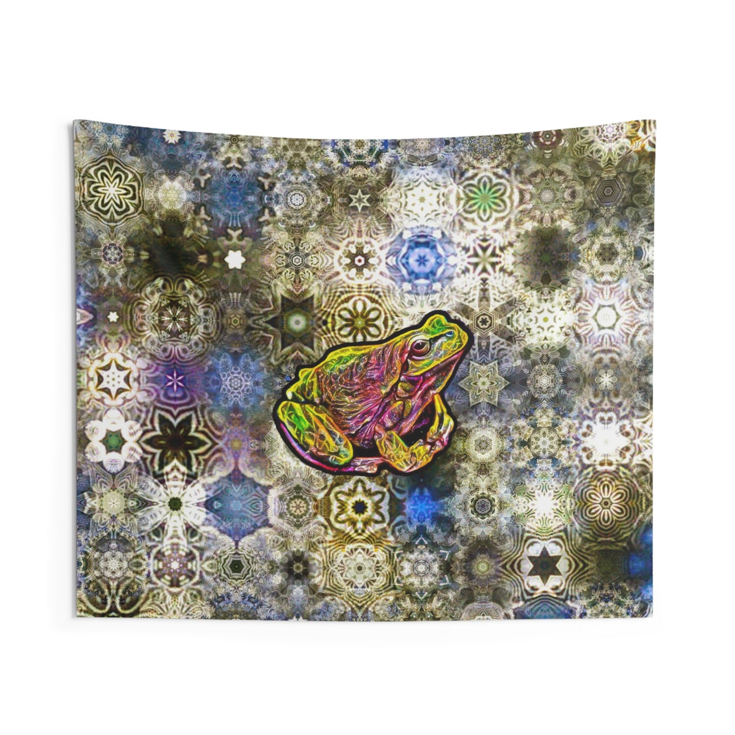 Galaxy Frog Indoor Wall Tapestries