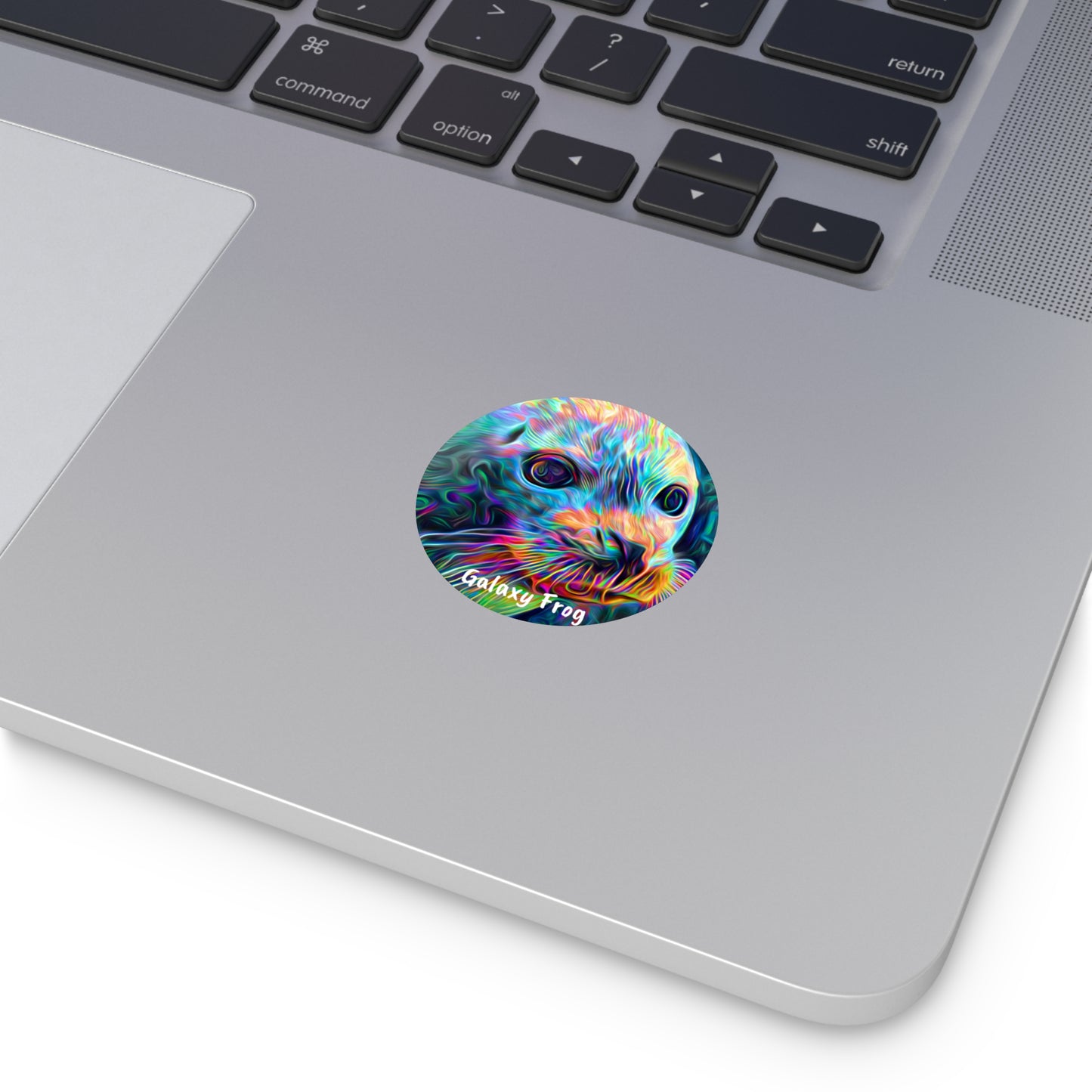 Galaxy Frog Seal Round Vinyl Stickers