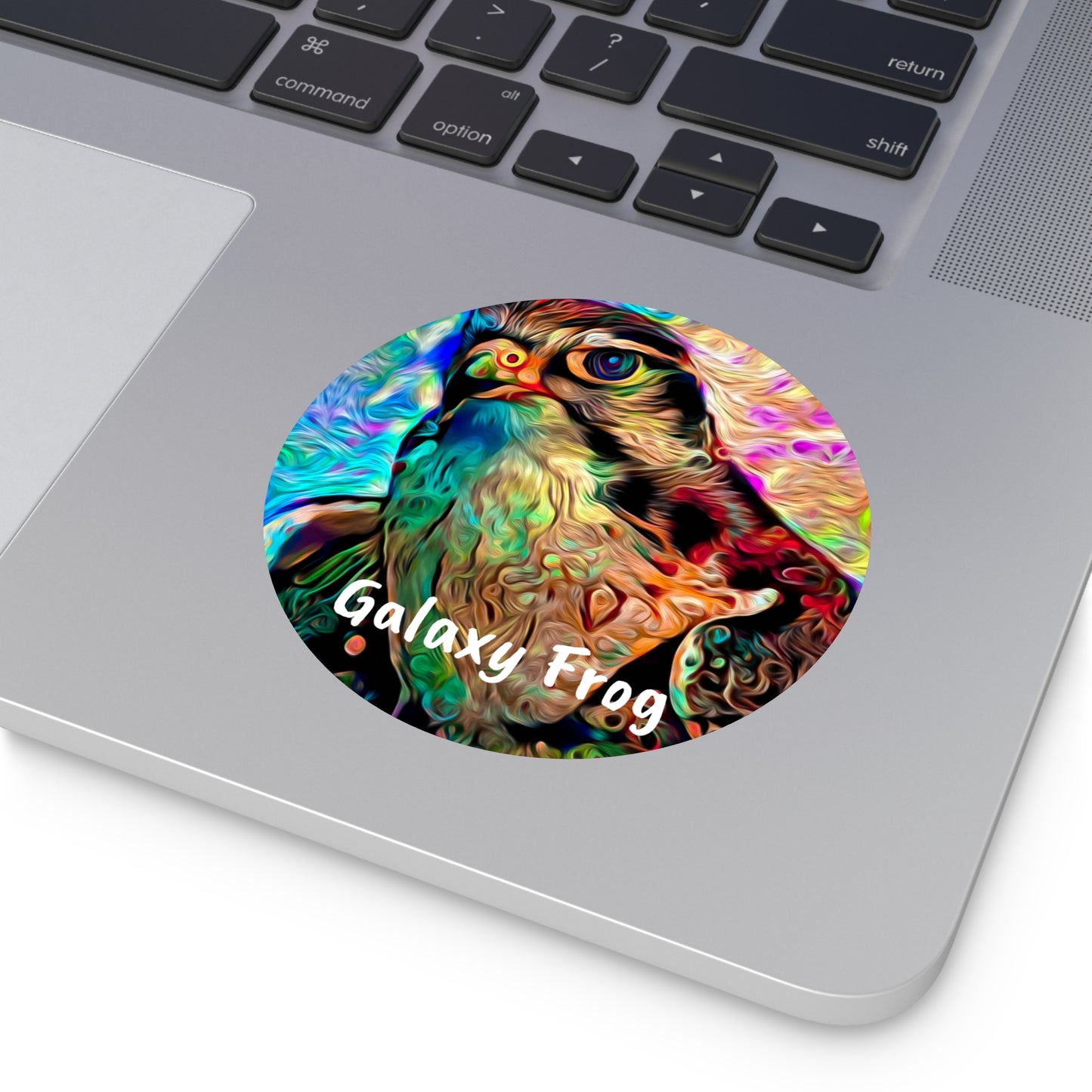 Galaxy Frog Hawk Round Vinyl Stickers