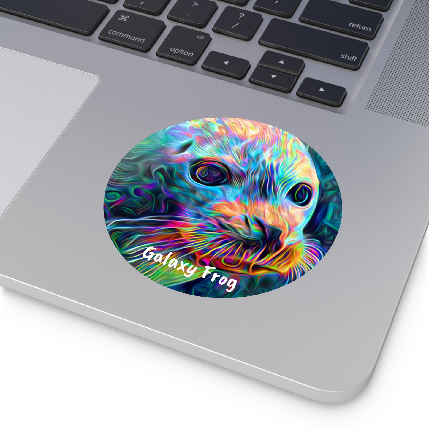 Galaxy Frog Seal Round Vinyl Stickers