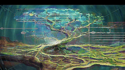 Load video: click to watch full video